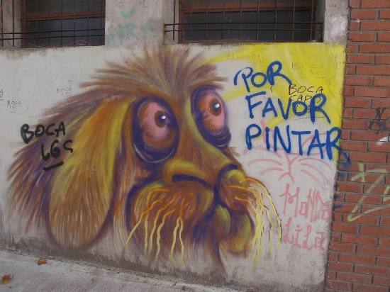 Figure 5: Boca Juniors Tags around the face of the dog.